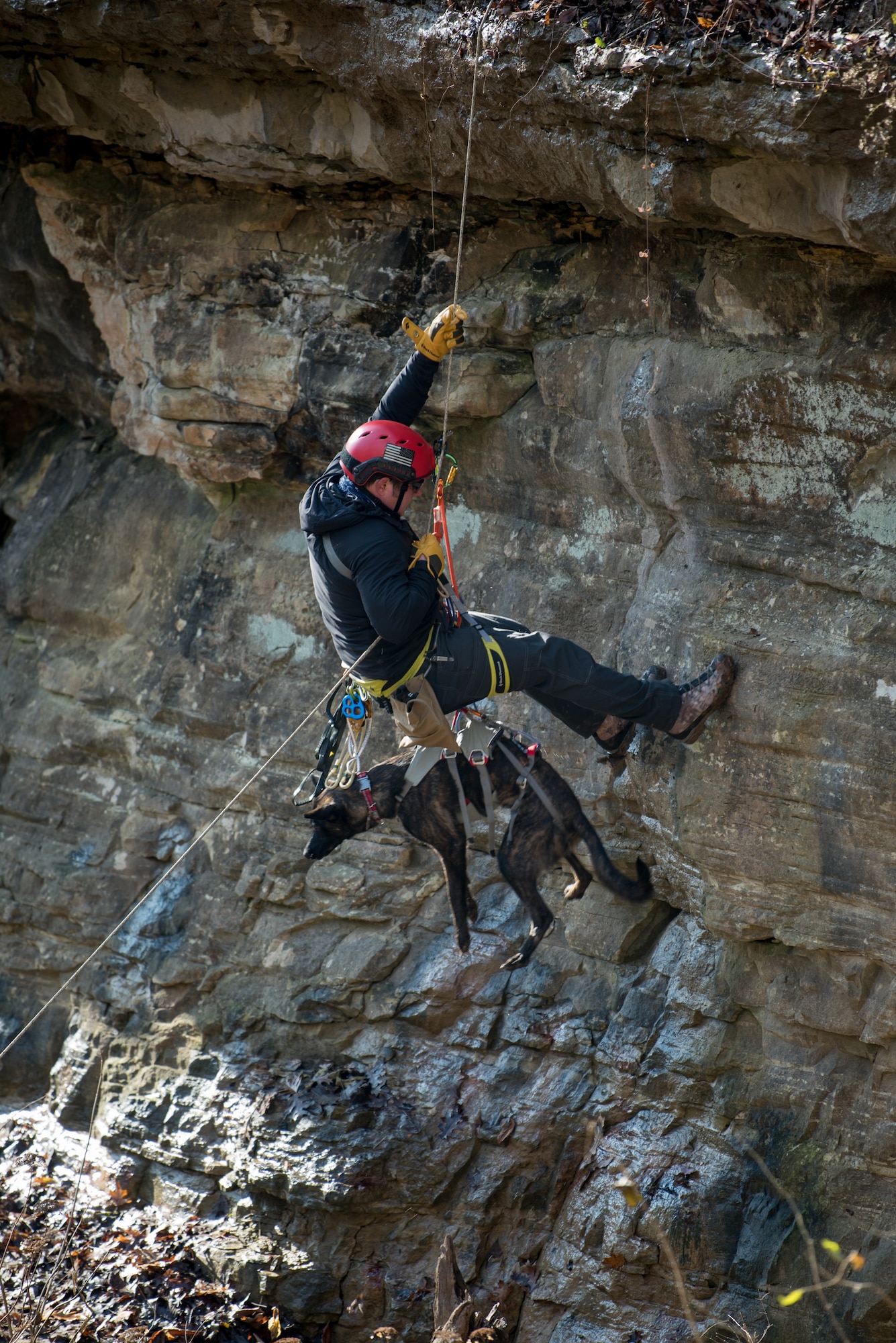 Tech. Sgt. Rudy Parsons, a pararescueman with the Kentucky Air National Guard’s 123rd Special Tactics Squadron, and his search and rescue dog, Callie, rappel down a cliff in Louisville, Ky., Dec. 7, 2108, as part of Callie’s familiarization training. Callie is currently the only search and rescue dog in the Department of Defense. (U.S. Air National Guard photo by Staff Sgt. Joshua Horton)