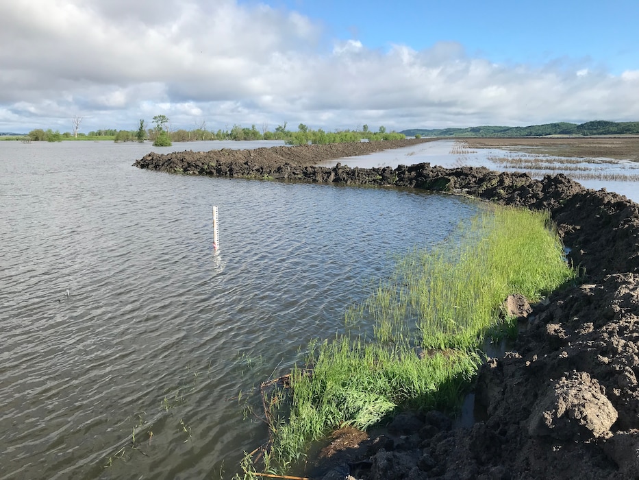 The Hamburg – Ditch 6 Levee after local (City of Hamburg) flood fighting efforts. Photo taken on May 29, 2019.