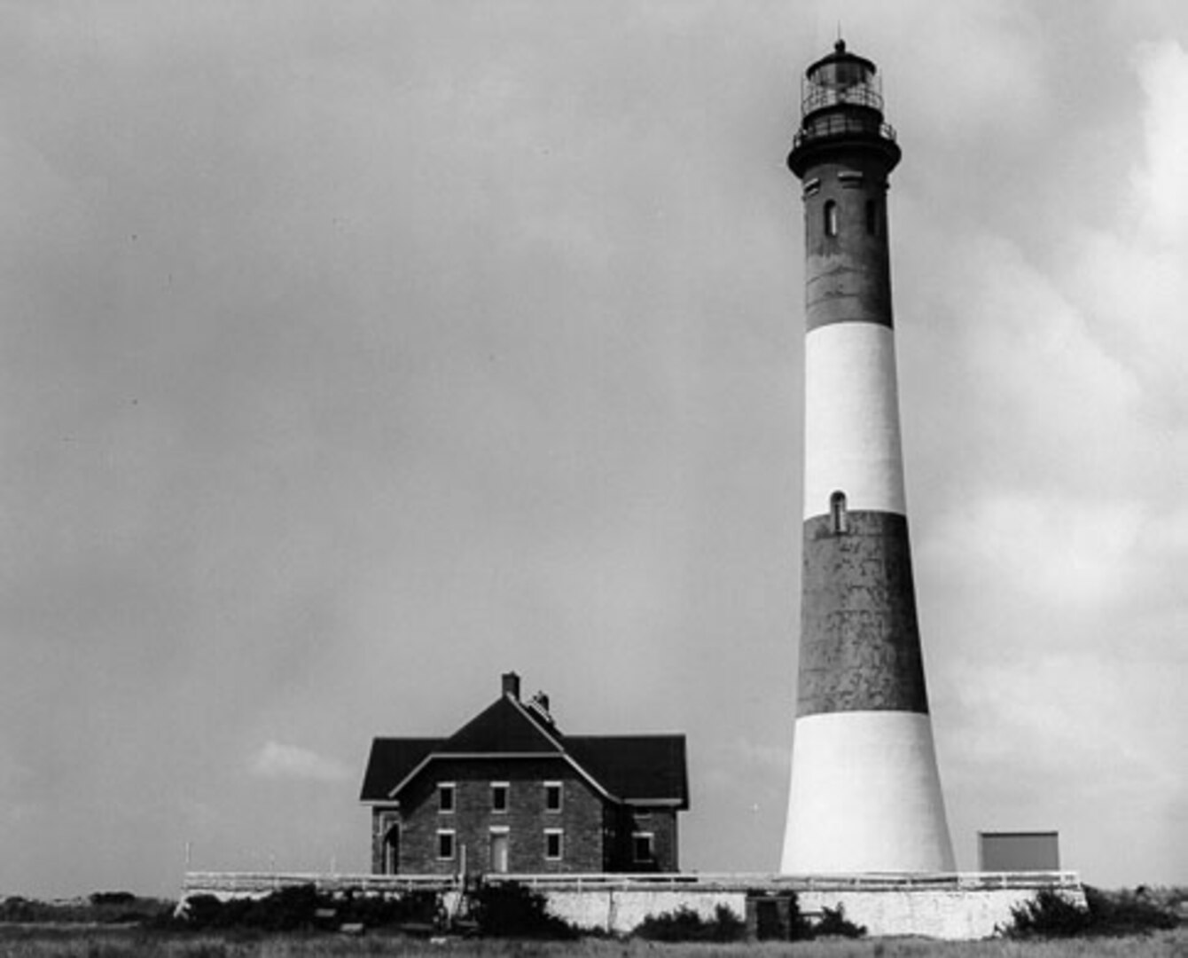 are dogs allowed at fire island lighthouse