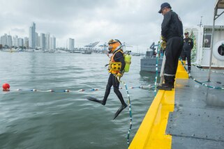 A diver jumps into the water.