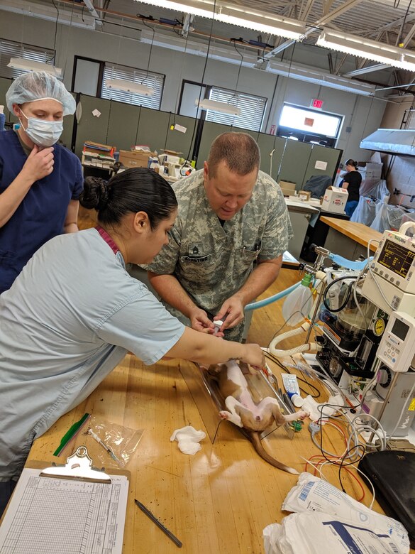 Army Reserve Medical Command Soldiers provide care in local community