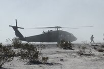 DVE-M