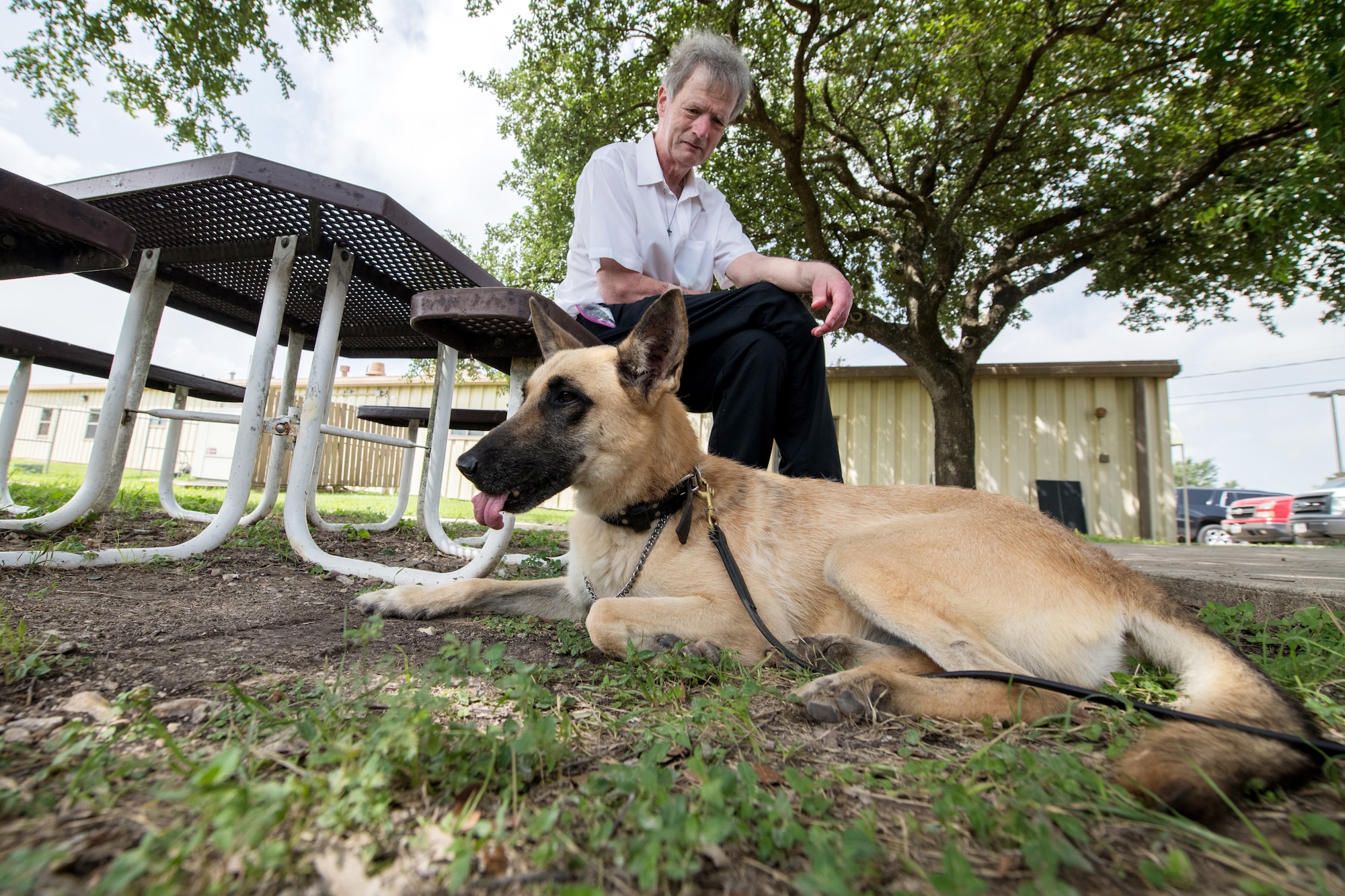 Professor Robert Klesges meets with a military working dog (MDW) June 26, 2019, at Joint Base San Antonio, Texas.