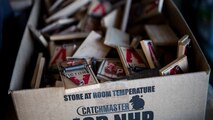 A box of rat traps sit in the 2nd Civil Engineer Squadron pest management shop at Barksdale Air Force Base, Louisiana, June 25, 2019. The 2nd CES pest management shop manages pest in order to prevent the spread of animal-borne illnesses. (U.S. Air Force photo by Airman Jacob B. Wrightsman)