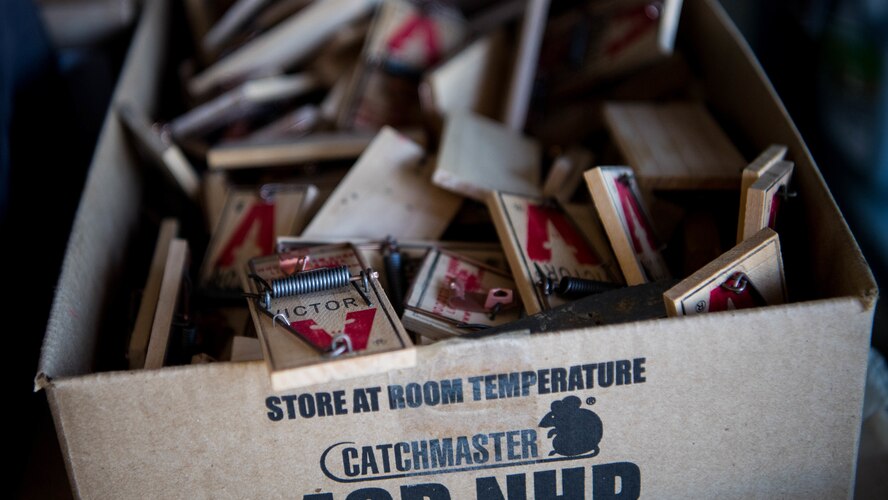 A box of rat traps sit in the 2nd Civil Engineer Squadron pest management shop at Barksdale Air Force Base, Louisiana, June 25, 2019. The 2nd CES pest management shop manages pest in order to prevent the spread of animal-borne illnesses. (U.S. Air Force photo by Airman Jacob B. Wrightsman)