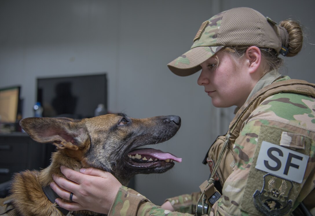 U.S. Air Force Staff Sgt. Kathyrn Malone, 386th Expeditionary Security Forces Squadron military working dog handler, pets her MWD, Uurska, while making a stop in a building to cool off at Ali Al Salem Air Base, Kuwait, July 24, 2019. Malone and Uurska are both deployed from the 55th Security Forces Squadron, Offutt Air Force Base, Neb. (U.S. Air Force photo by Tech. Sgt. Daniel Martinez)