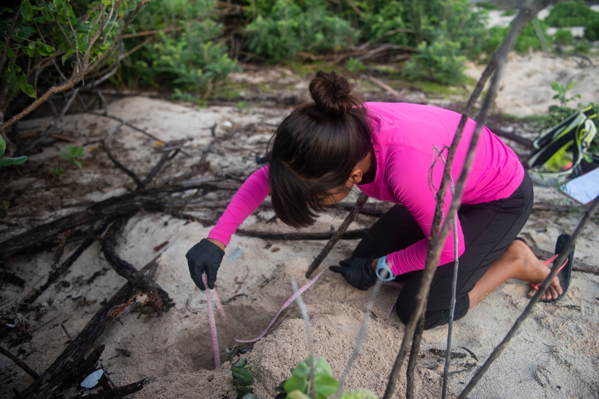 Leilani Sablan, a Sea Turtle Biologist with the University of Guam measures the depth of a nest of the endangered Green Sea Turtle July 25, 2019 at Andersen Air Force Base, Guam.