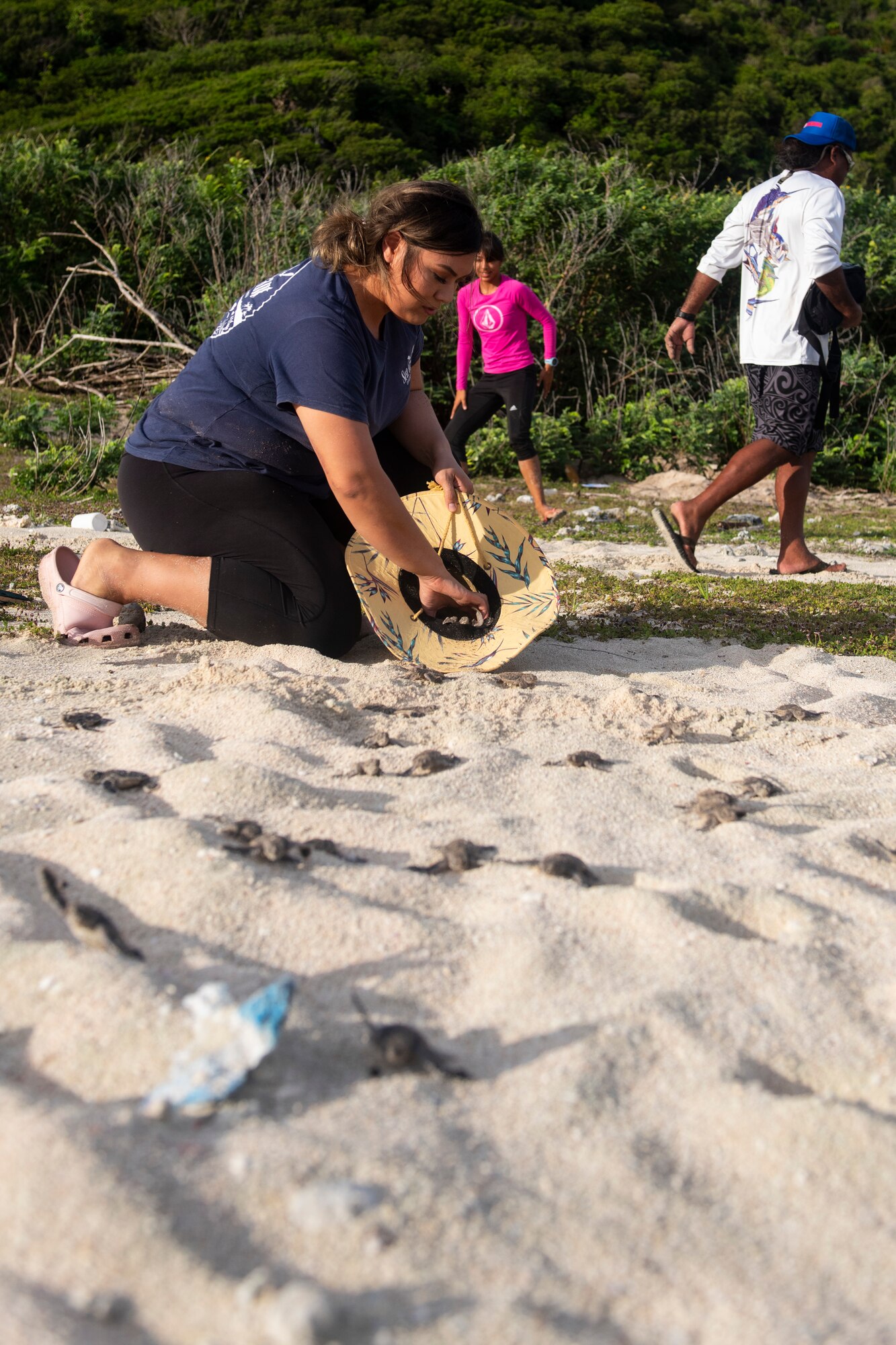 Josefa Muñoz, a Sea Turtle Biologist with the University of Guam Sea Grant, releases the babies of an endangered Green Sea Turtle July 25, 2019 at Andersen Air Force Base, Guam.