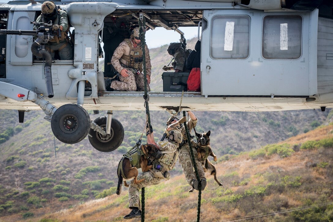 Military working dog handlers with the U.S. Army Rangers and U.S. Marine Corps Forces Special Operations Command multipurpose canine handlers fast-rope from a U.S. Navy MH-60 Seahawk helicopter during a multipurpose canine subject matter expert exchange hosted by 1st Marine Raider Battalion, MARSOC, on Marine Corps Base Camp Pendleton, California, July 24, 2019. The purpose of the MARSOC-hosted SMEE was to bring canine handlers together from different agencies and branches to conduct maritime and land-based training while exchanging tactics, techniques and procedures. (U.S Marine Corps photo by Lance Cpl. Drake Nickels)