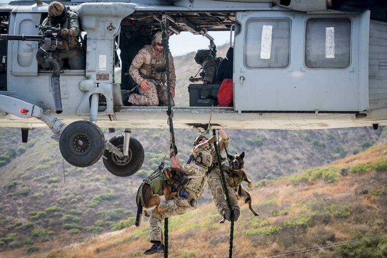 Sharing skills: MARSOC canine handlers host subject matter expert exchange