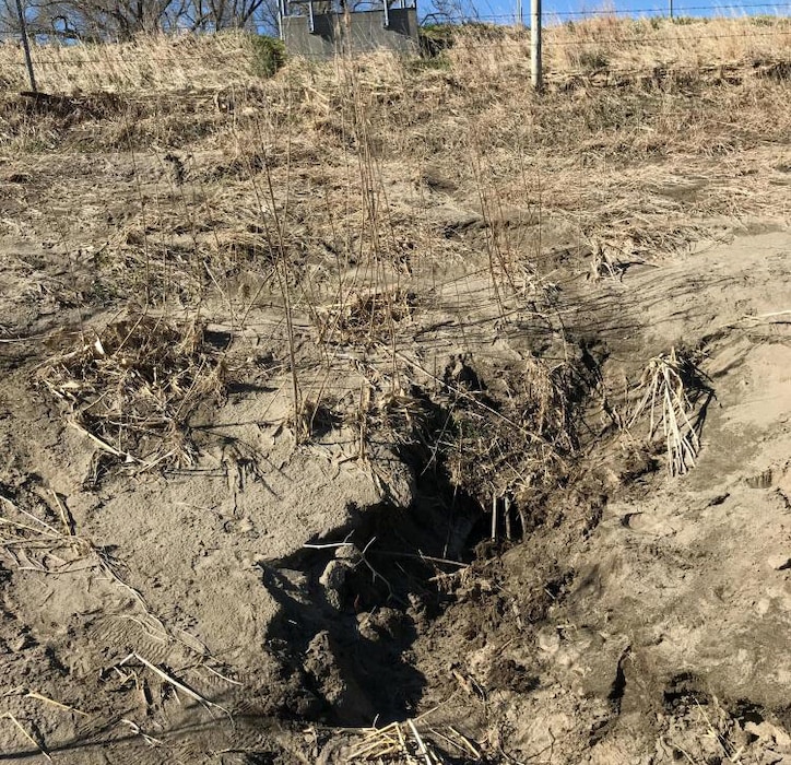 Drainage Structure outlet clogged and covered with silt and sand deposited from the high water event. Photo taken Apr. 20, 2019.