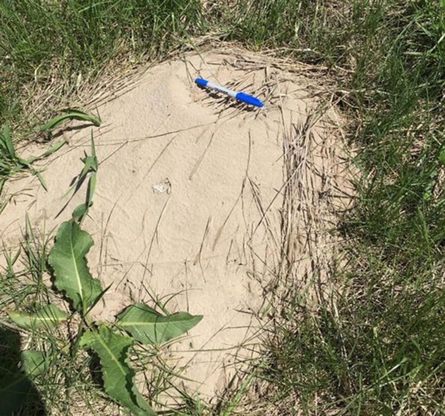 A sand boil along a non-functioning levee toe drain identified during the initial damage assessment on 25 Apr 2019.