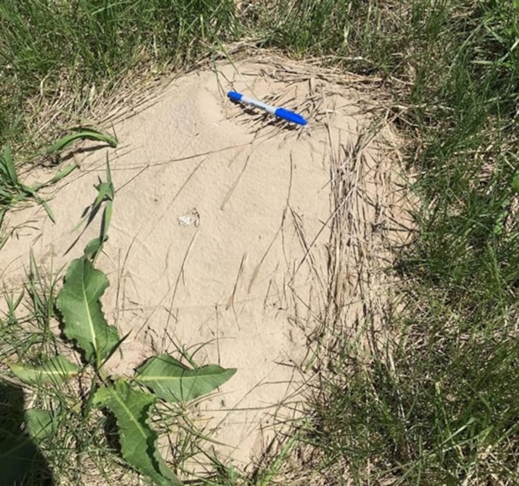 A sand boil along a non-functioning levee toe drain identified during the initial damage assessment on 25 Apr 2019.
