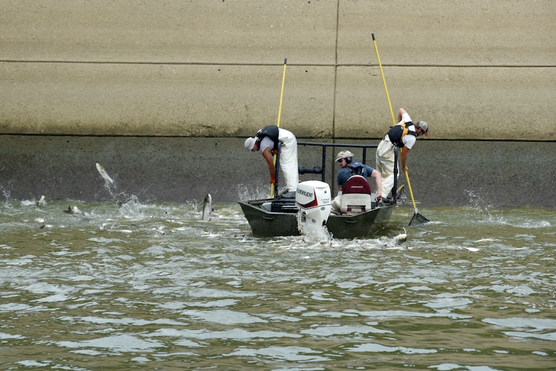 (Left to right) Josh Tompkins, fisheries biologist; Matt Combs, fisheries biologist; and Nathan Rister, fisheries technician; Kentucky Department of Fish and Wildlife Resources, demonstrate electrofishing for Asian Carp on the Cumberland River next to Barkley Dam in Grand Rivers, Ky., July 30, 2019. The U.S. Army Corps of Engineers, U.S. Fish and Wildlife Service, Kentucky Department of Fish and Wildlife Resources Agency, U.S. Geological Survey and Tennessee Wildlife Resources Agency are collaborating on the deployment of a bio-acoustic fish fence on the downstream side of Barkley Lock as part of a test of this sound deterrent to reduce the use of the locks by Asian Carp.  (USACE photo by Lee Roberts)
