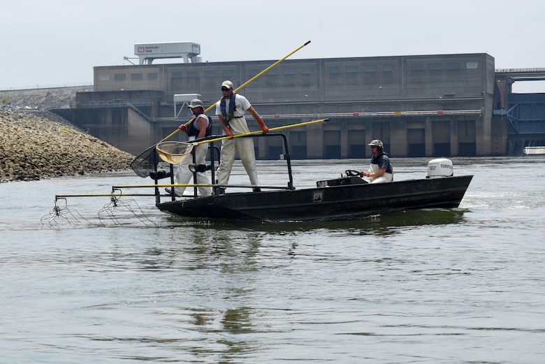 (Left to right) Josh Tompkins, fisheries biologist; Andrew Porterfield, fisheries technician; and Matt Combs, fisheries biologist; Kentucky Department of Fish and Wildlife Resources, move into position to electro fish for Asian Carp on the Cumberland River along the shoreline below Barkley Dam in Grand Rivers, Ky., July 30, 2019. The U.S. Army Corps of Engineers, U.S. Fish and Wildlife Service, Kentucky Department of Fish and Wildlife Resources Agency, U.S. Geological Survey and Tennessee Wildlife Resources Agency are collaborating on the deployment of a bio-acoustic fish fence on the downstream side of Barkley Lock as part of a test of this sound deterrent to reduce the use of the locks by Asian Carp.  (USACE photo by Leon Roberts)