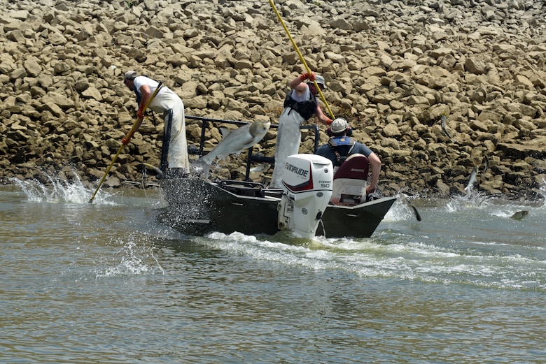 (Left to right) Andrew Porterfield, fisheries technician; Josh Tompkins, fisheries biologist; and Matt Combs, fisheries biologist; Kentucky Department of Fish and Wildlife Resources, move into position to electro fish for Asian Carp on the Cumberland River along the shoreline below Barkley Dam in Grand Rivers, Ky., July 30, 2019. The U.S. Army Corps of Engineers, U.S. Fish and Wildlife Service, Kentucky Department of Fish and Wildlife Resources Agency, U.S. Geological Survey and Tennessee Wildlife Resources Agency are collaborating on the deployment of a bio-acoustic fish fence on the downstream side of Barkley Lock as part of a test of this sound deterrent to reduce the use of the locks by Asian Carp.  (USACE photo by Lee Roberts)