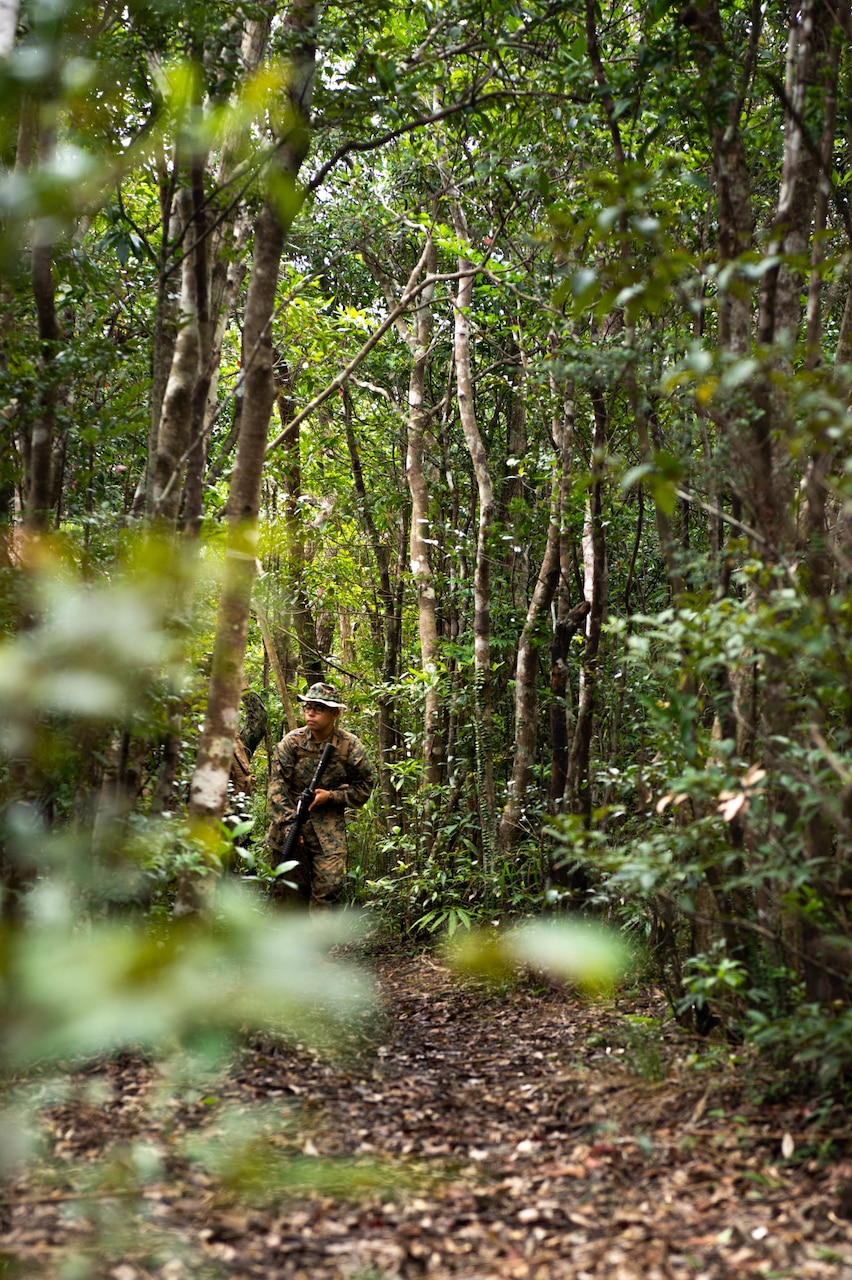 Two sailors walk through the jungle.