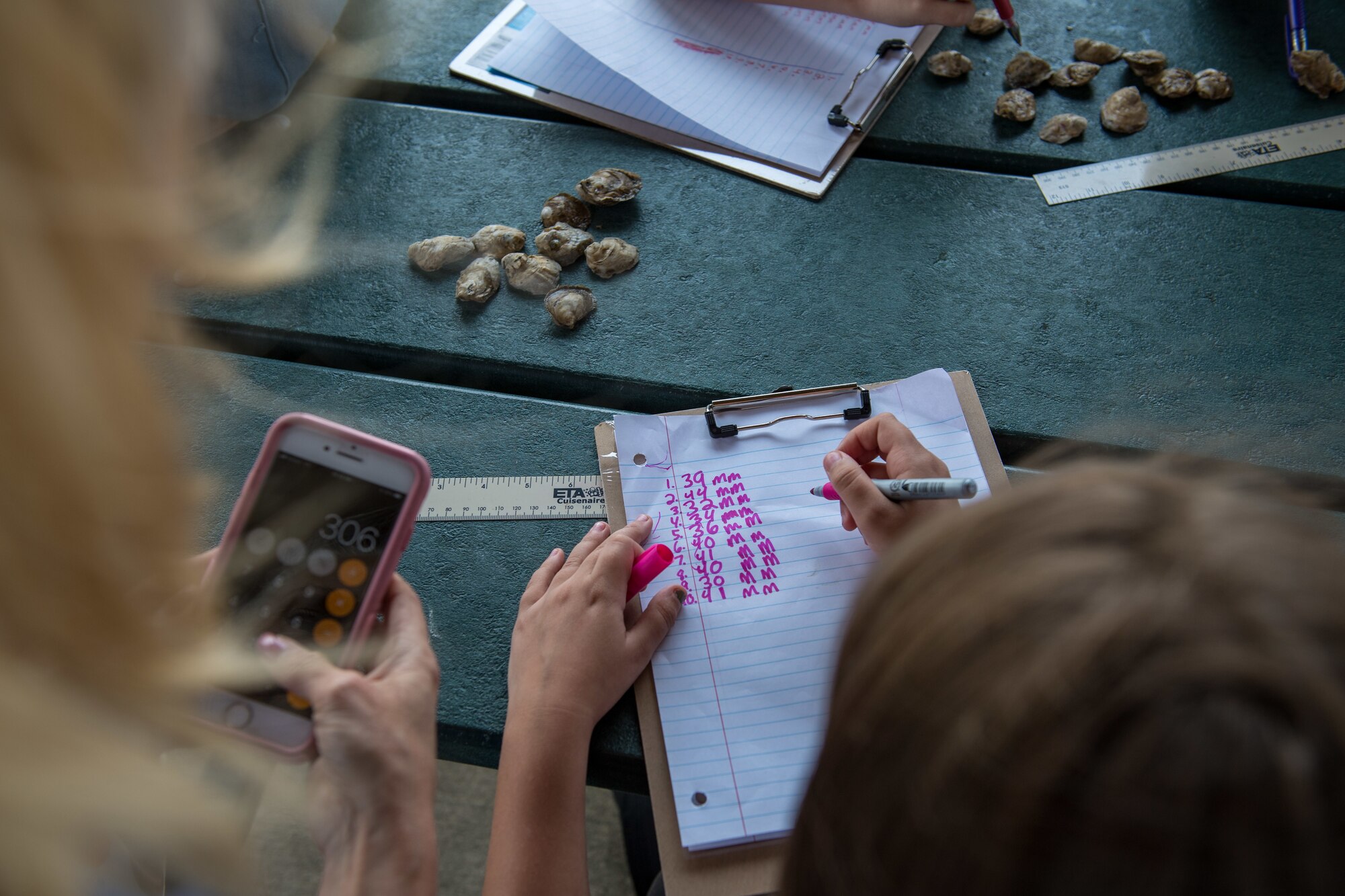 Booker Elementary School students measure oysters and calculate how much they’ve grown at Joint Base Langley-Eustis, Virginia, June 3, 2019.