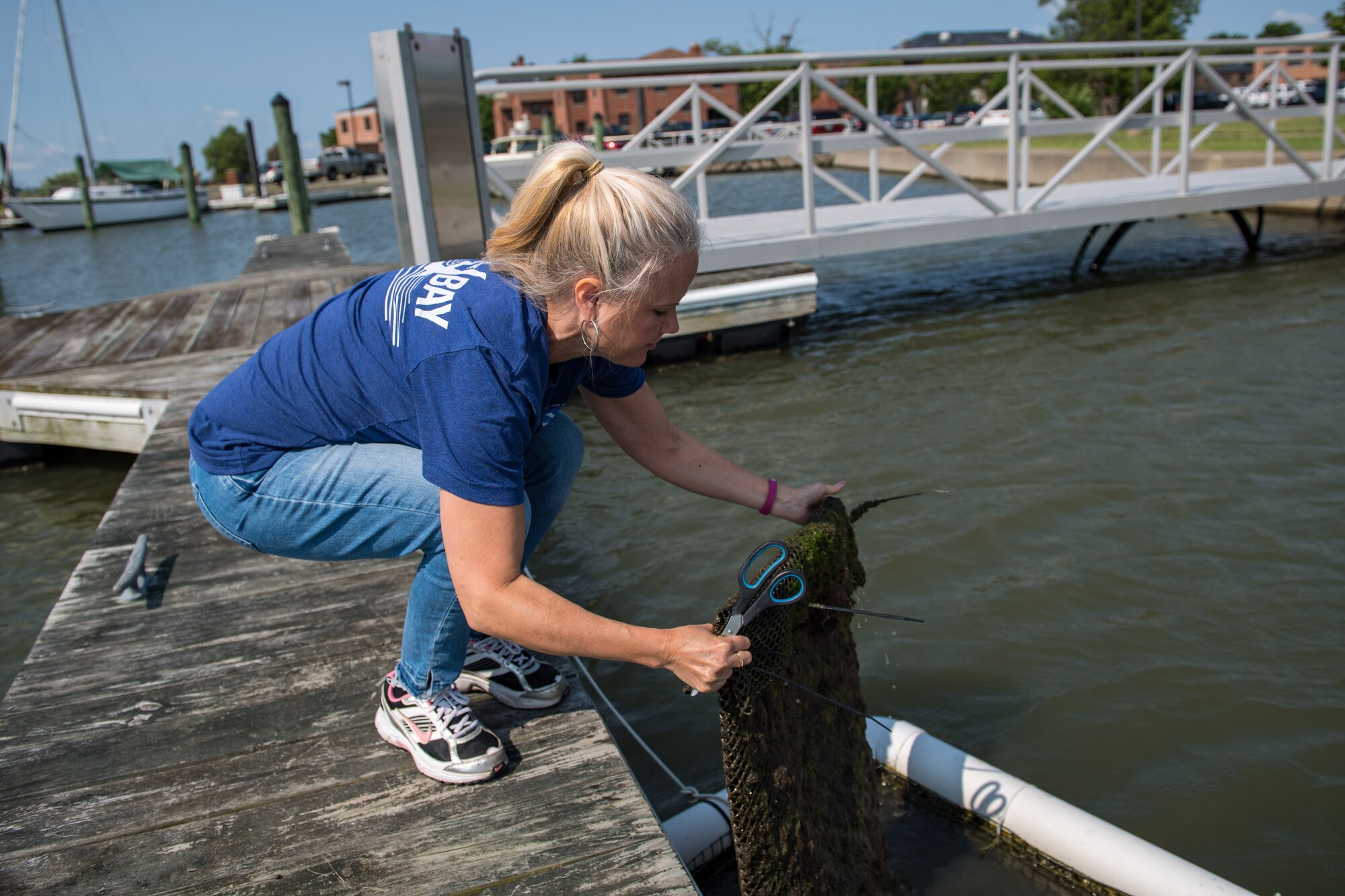 Karen Brace, Booker Elementary School science teacher, pulls a cage of oysters out of the water at Joint Base Langley-Eustis, Virginia, June 3, 2019.