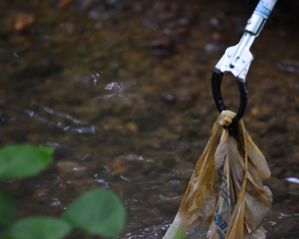 Volunteers clean up the bay