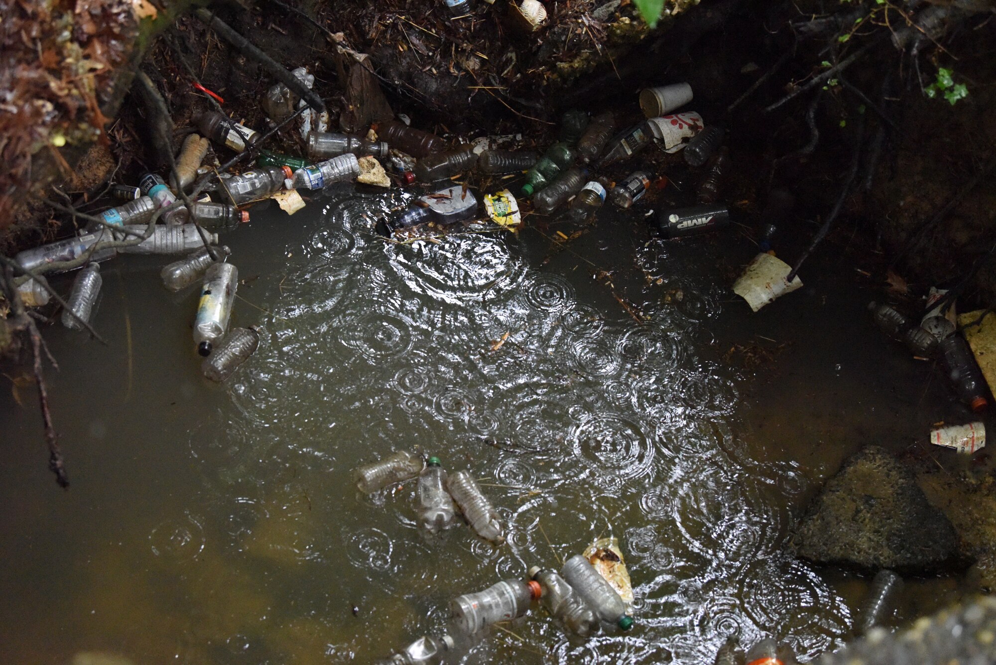 Volunteers clean up the bay