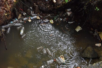 Volunteers clean up the bay