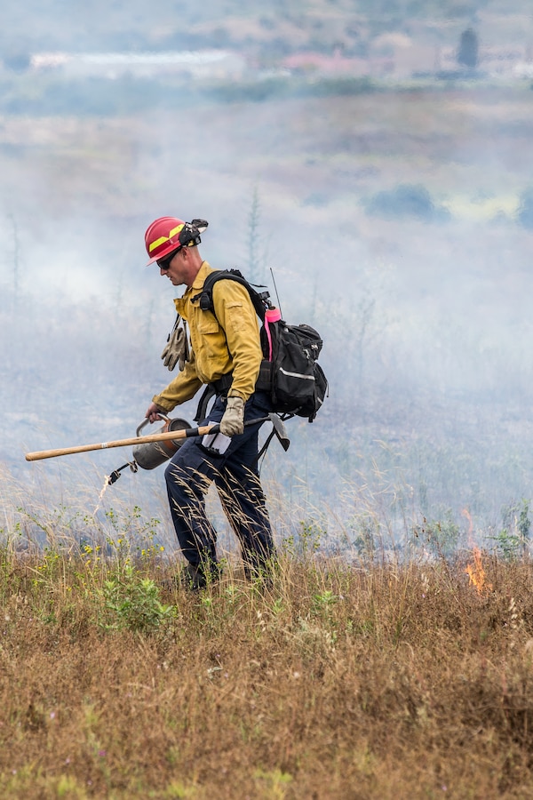 A Camp Pendleton firefighter ignites a prescribed burn in a field as part of the annual Wildland Fire School on Marine Corps Base Camp Pendleton, California, June 3, 2019. The training is hosted by the Camp Pendleton Fire Department to strengthen partnerships with the surrounding agencies and to perform prescribed burns on the installation training areas in preparation for the upcoming fire season. (U.S. Marine Corps photo by Sgt. Gabino Perez)