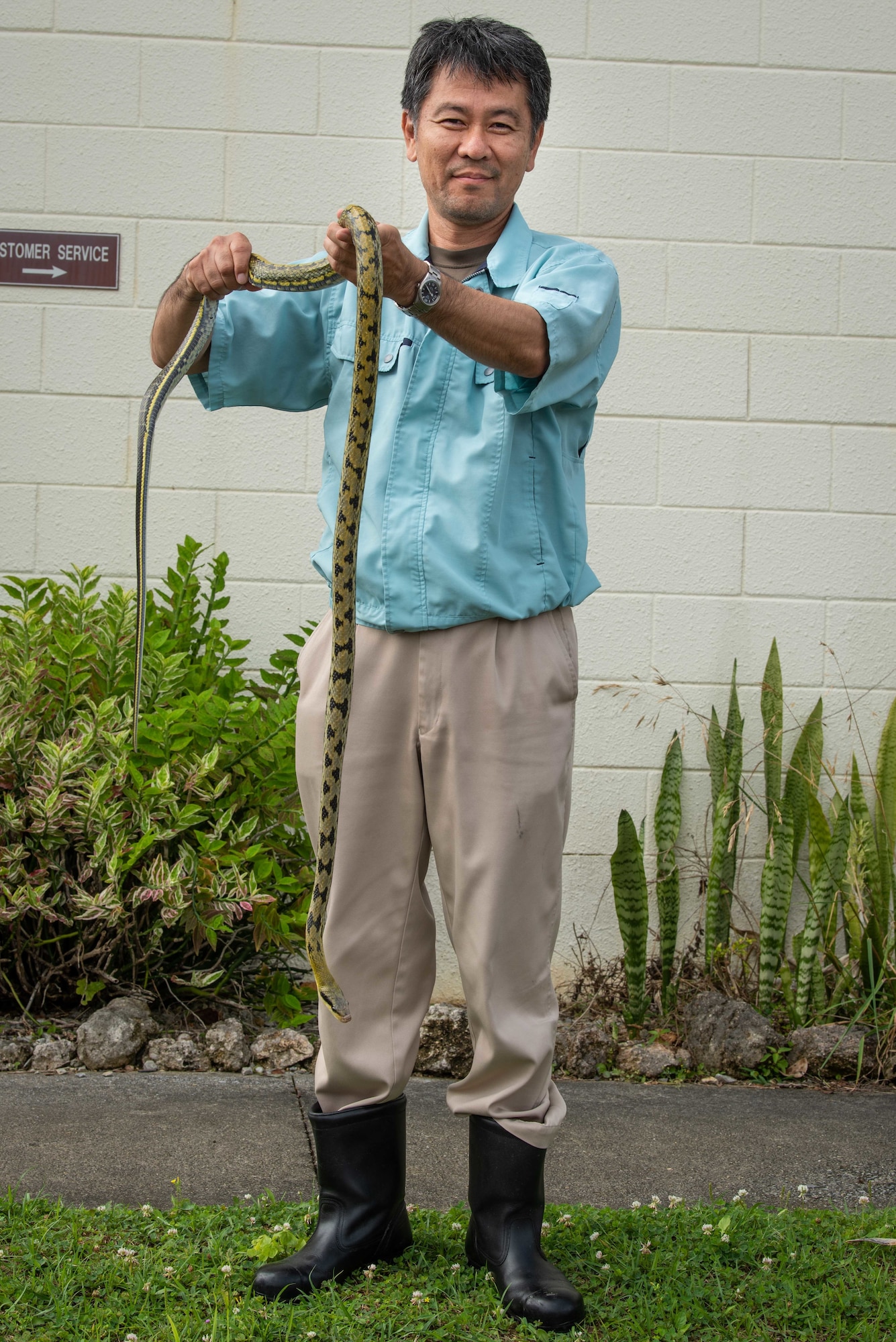 A Taiwanese Beauty Snake is held by a pest management technician at the on-base Entomology Pest Management Section, June 5, 2019, at Kadena Air Base, Japan. Import, transport and keeping of Taiwanese Beauty Snakes is strictly prohibited by Japan's Invasive Alien Species Act. (U.S. Air Force photo by Senior Airman Kristan Campbell)