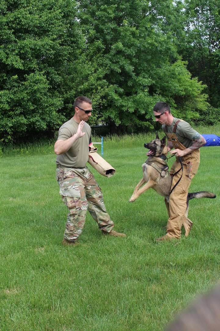 Army Sgt. 1st Class Christopher Kemp (l) barks a command to a military working dog during a demonstration at the 2019 National Cryptologic Museum during the Armed Forces & National Police Demonstration.