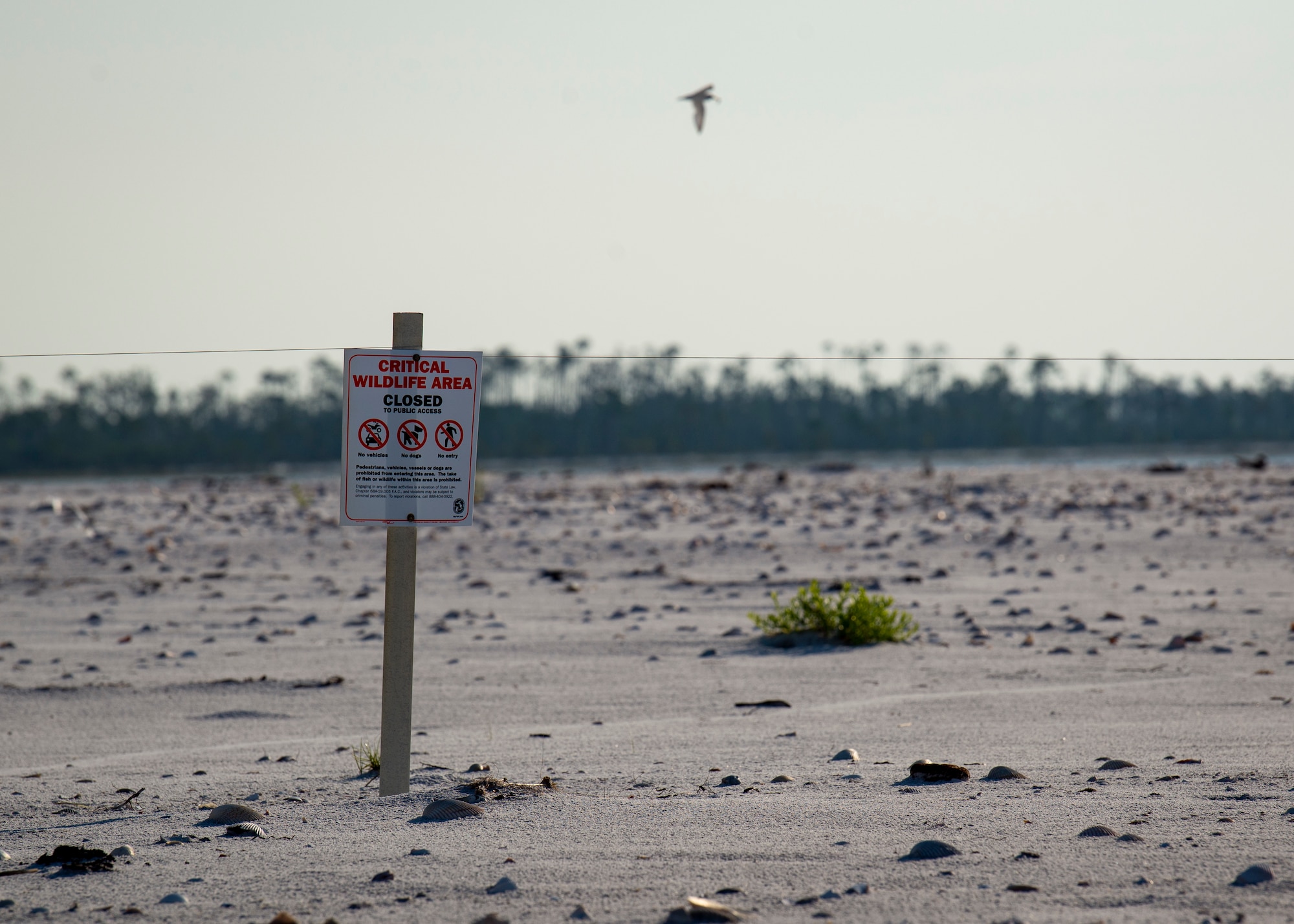 A Critical Wildlife Area sign sits on the beach at Tyndall Air Force Base, Florida, June 5, 2019, to warn beachgoers of the endangered shore bird nests.