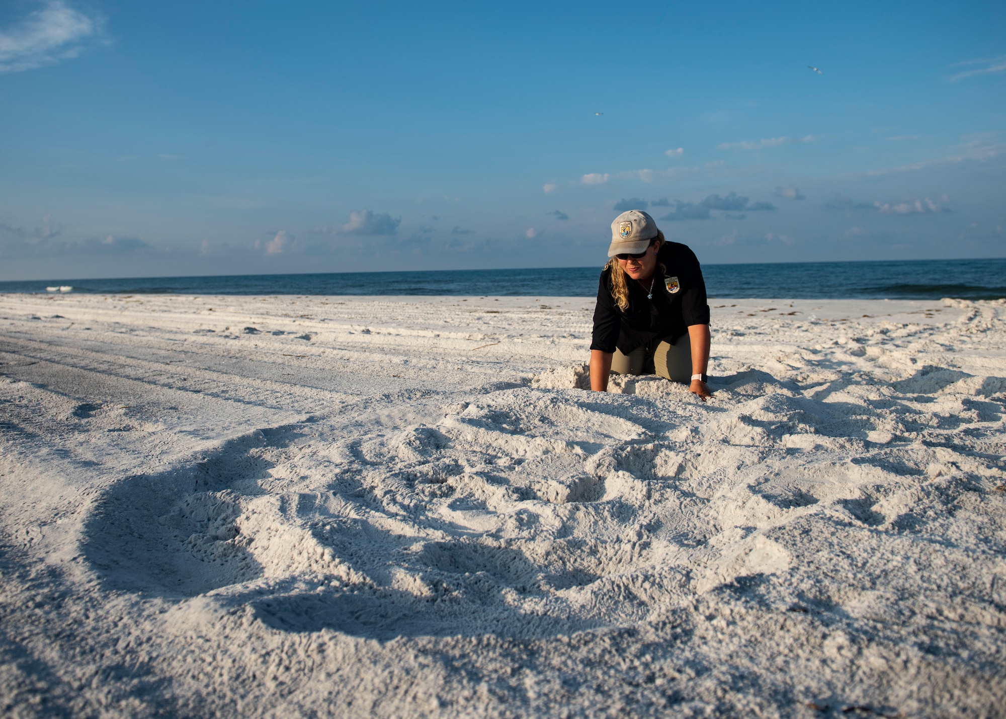Danielle Bumgardner, U.S. Fish and Wildlife Services biologist, verifies the location of sea turtle eggs in a nest on the beach at Tyndall Air Force Base, Florida, June 5, 2019.