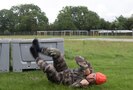 Airborne pre-jump training in Sainte-Mère-Église, France