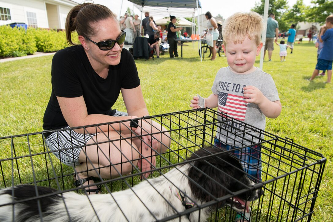 Hudson McCormick meets Petunia at the Hurricane Block Party June 6, 2019, at the Eagle Heights family housing on Dover Air Force Base, Del. Petunia was one of several dogs brought out by the First State Animal Shelter and Society for the Prevention of Cruelty to Animals of Camden to, hopefully, find a home with one of the families in attendance. (U.S. Air Force Photo by Mauricio Campino)