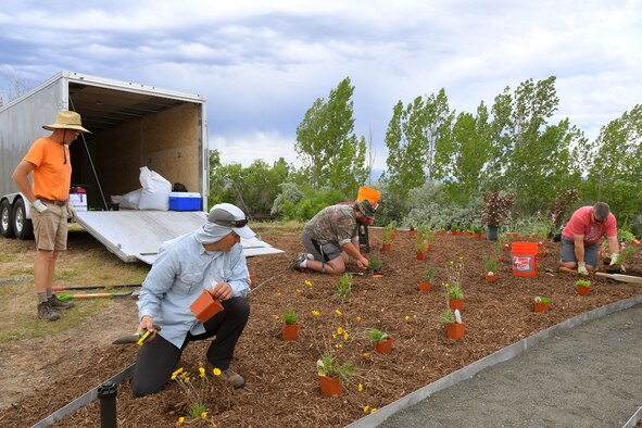 (left to right) Lonny Eldridge, Willard Bay Gardens, Nicholas R. Brown, liaison to Hill Air Force Base with U.S. Fish and Wildlife Service, Richard Abderhalden, volunteer, and Russ Lawrence, 75th Civil Engineering Group, work together planting a new pollinator garden plot, June 6, 2019, at Hill AFB, Utah. The garden will provide food and habitat for pollinator species such as hummingbirds, bees, and other insects, which are critical to maintaining diverse and healthy ecosystems. (U.S. Air Force photo by Todd Cromar)