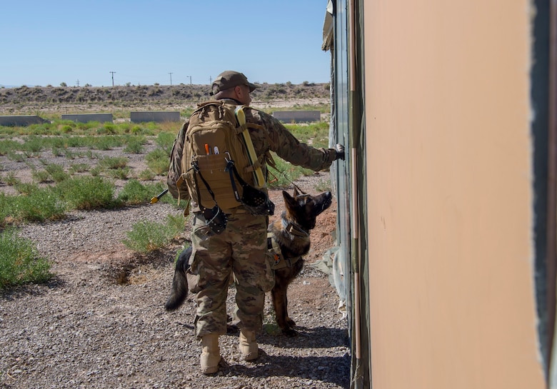 49 SFS MWD handlers perform medical training exercises
