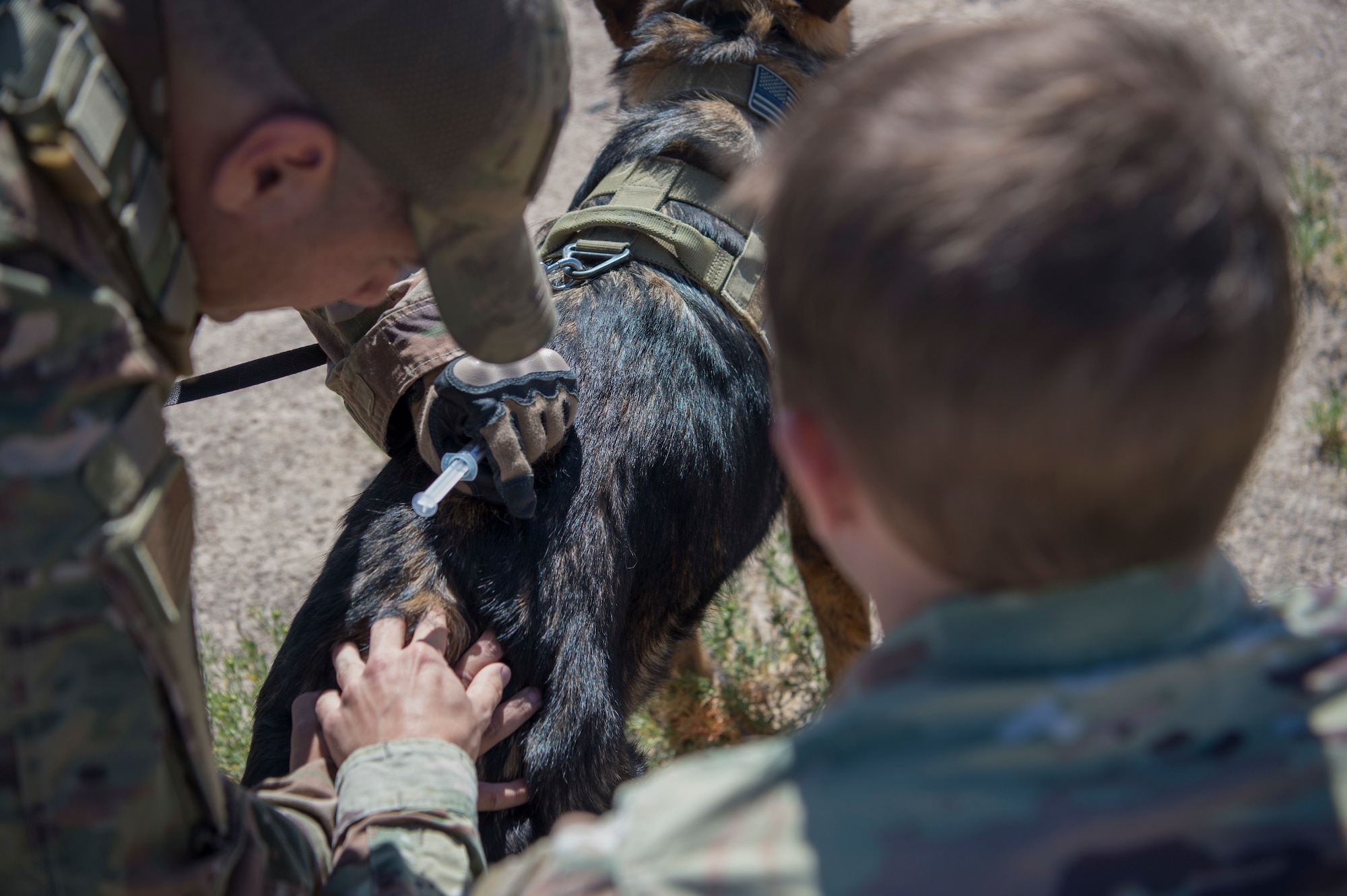 49 SFS MWD handlers perform medical training exercises