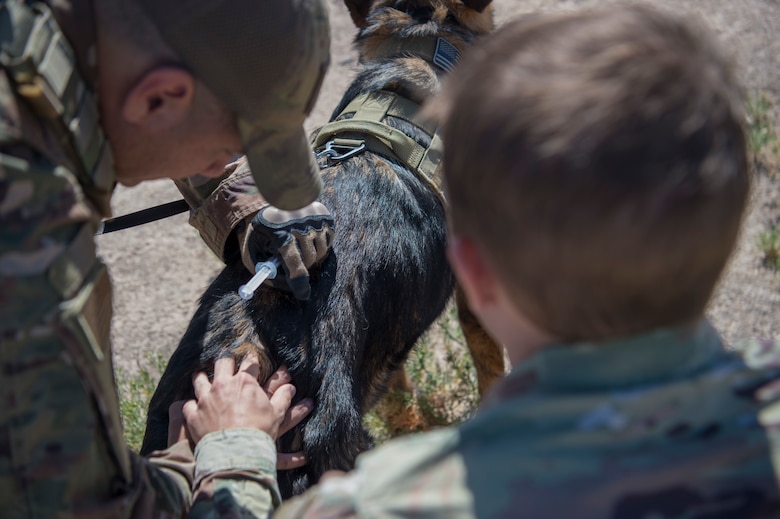 49 SFS MWD handlers perform medical training exercises