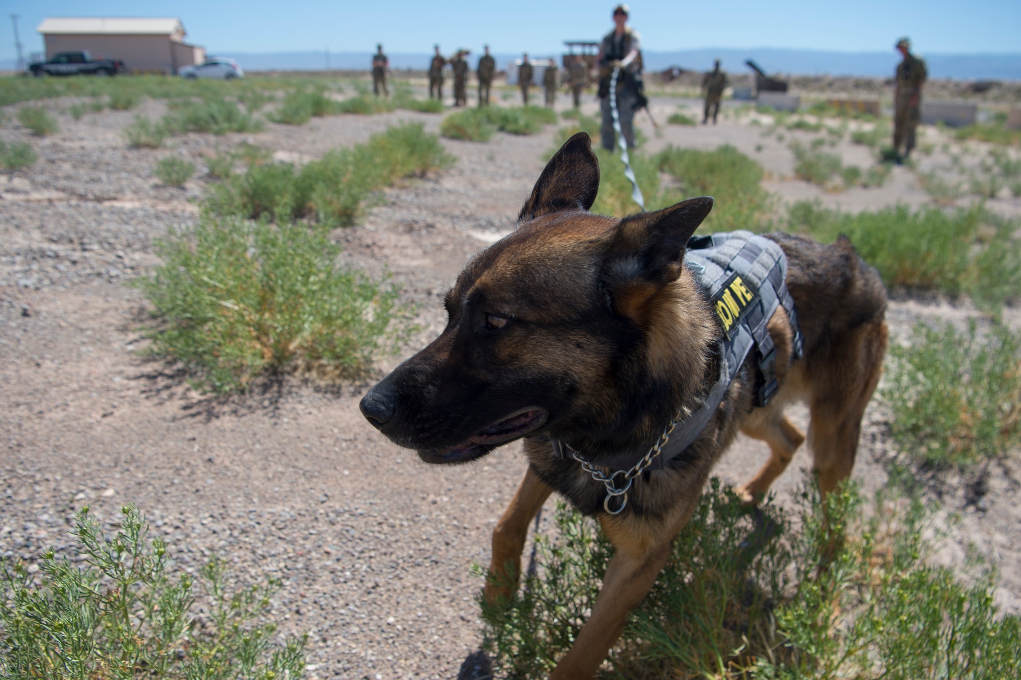 49 SFS MWD handlers perform medical training exercises