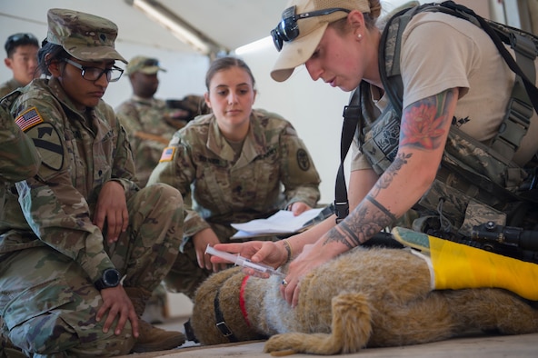 49 SFS MWD handlers perform medical training exercises