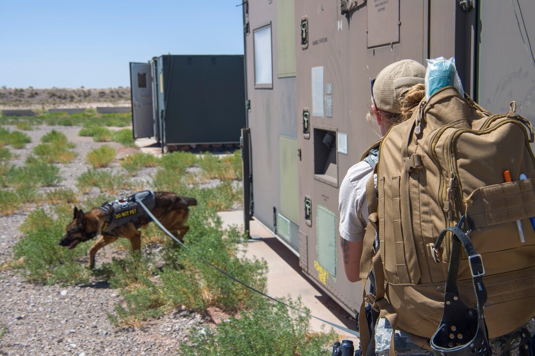 49 SFS MWD handlers perform medical training exercises