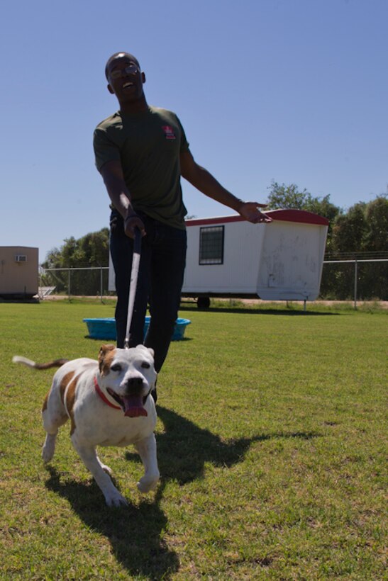 U.S. Marines with Marine Air Control Squadron 1 help out during a Single Marines Progam (SMP) volunteer opportunity at the Humane Society of Yuma, Ariz., April 24, 2019. The SMP of Marine Corps Air Station Yuma sends Marines weekly to the Humane Society of Yuma to volunteer and help around the facility. (U.S. Marine Corps photo by Pfc. John Hall)