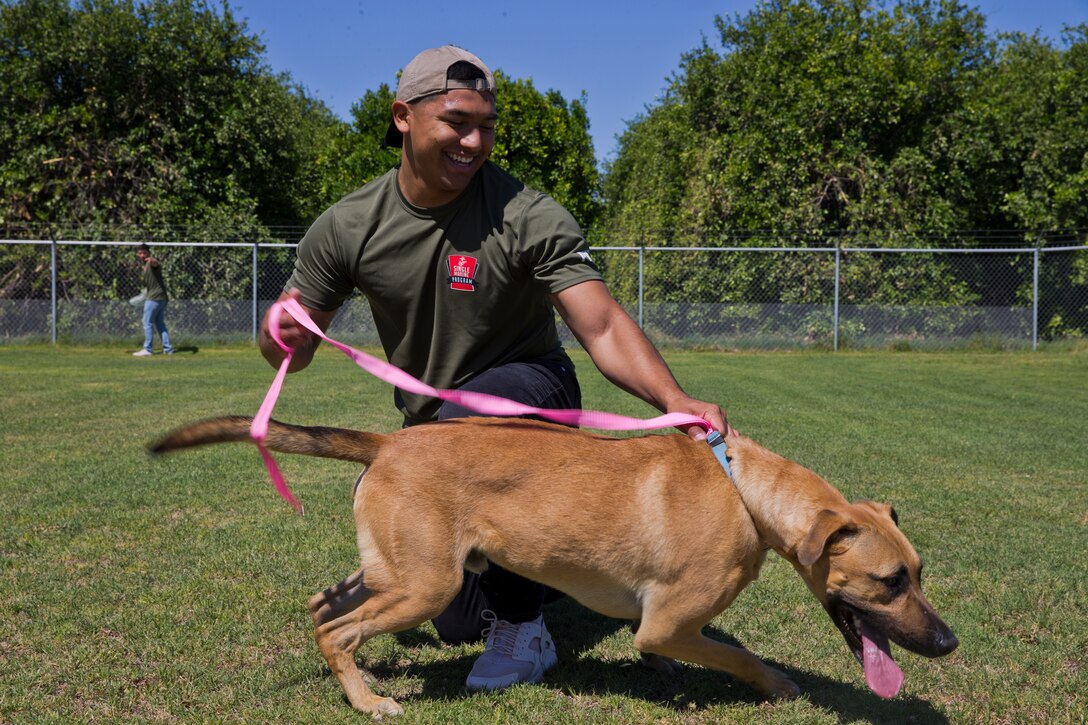 U.S. Marines with Marine Air Control Squadron 1 help out during a Single Marines Progam (SMP) volunteer opportunity at the Humane Society of Yuma, Ariz., April 24, 2019. The SMP of Marine Corps Air Station Yuma sends Marines weekly to the Humane Society of Yuma to volunteer and help around the facility. (U.S. Marine Corps photo by Pfc. John Hall)