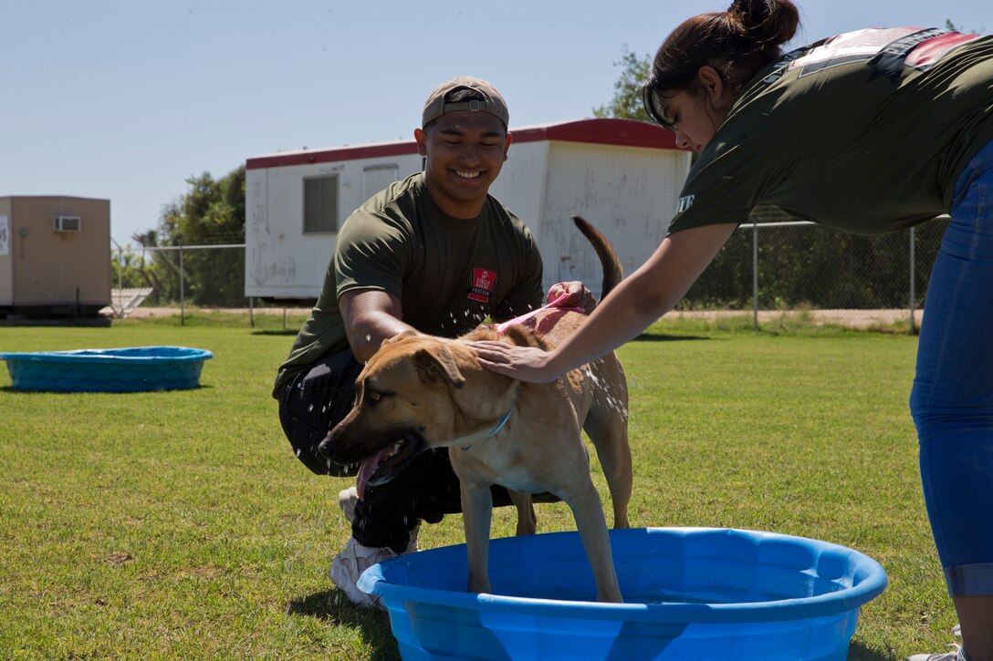 U.S. Marines with Marine Air Control Squadron 1 help out during a Single Marines Progam (SMP) volunteer opportunity at the Humane Society of Yuma, Ariz., April 24, 2019. The SMP of Marine Corps Air Station Yuma sends Marines weekly to the Humane Society of Yuma to volunteer and help around the facility. (U.S. Marine Corps photo by Pfc. John Hall)