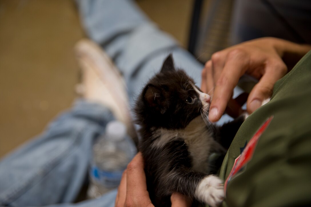 U.S. Marines with Marine Air Control Squadron 1 help out during a Single Marines Progam (SMP) volunteer opportunity at the Humane Society of Yuma, Ariz., April 24, 2019. The SMP of Marine Corps Air Station Yuma sends Marines weekly to the Humane Society of Yuma to volunteer and help around the facility. (U.S. Marine Corps photo by Pfc. John Hall)