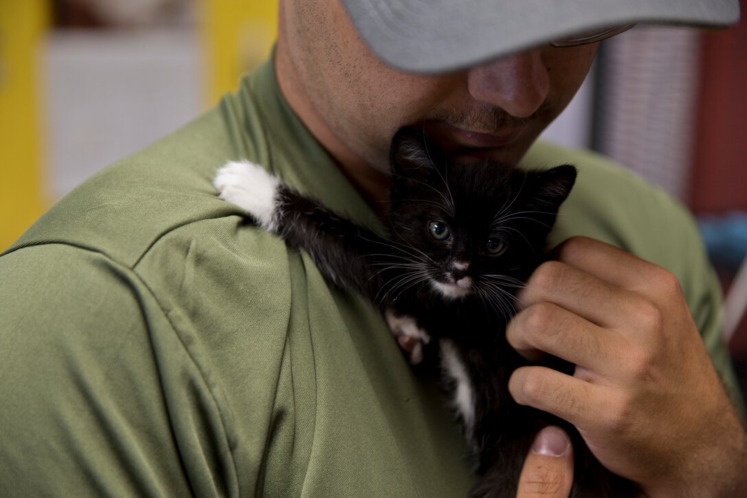 U.S. Marines with Marine Air Control Squadron 1 help out during a Single Marines Progam (SMP) volunteer opportunity at the Humane Society of Yuma, Ariz., April 24, 2019. The SMP of Marine Corps Air Station Yuma sends Marines weekly to the Humane Society of Yuma to volunteer and help around the facility. (U.S. Marine Corps photo by Pfc. John Hall)