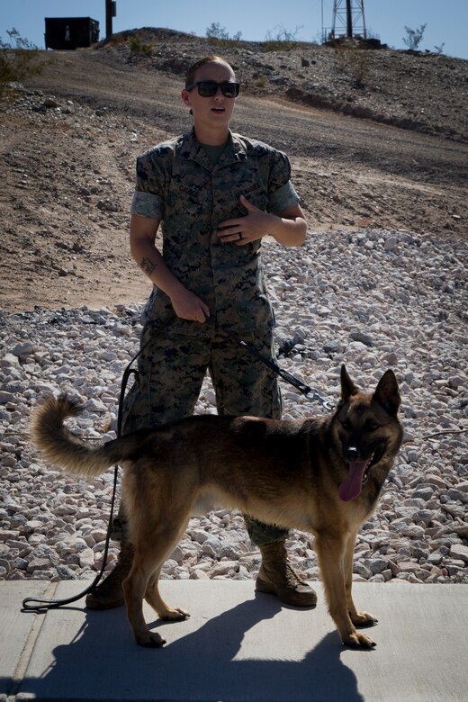 U.S. Marine Corps Sgt. Jenna L. Cauble, dog handler, with the Provost Marshall's Office, K9 Section, Headquarters and Headquarters Squadron, Marine Corps Air Station (MCAS) Yuma conducts a military working dog demonstration for representatives from the Defense Advisory Committee on Women in the Services (DACOWITS) on MCAS Yuma Ariz., April 25, 2019. Members from the Defense Advisory Committee on Women in the Services (DACOWITS) visited Marine Corps Air Station (MCAS) Yuma to get a better understanding of what makes MCAS Yuma unique and to get firsthand knowledge of what Service members on the base do to support daily operations. During their visit the DACOWITS members met with Marines and conducted focus group sessions. As part of their visit the DACOWITS members had the opportunity to tour the base and meet with Service members from different departments that provide support to the installation. Part of their visit included a mission brief and military working dog demonstration hosted by the Provost Marshals Office. (U.S. Marine Corps photo by Lance Cpl. Joel Soriano)