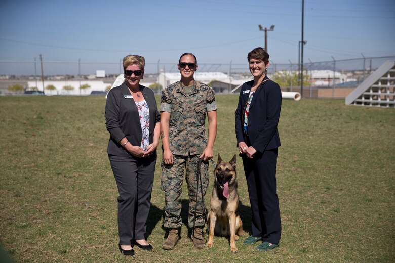 U.S. Marine Corps Sgt. Jenna L. Cauble, dog handler, with the Provost Marshall's Office, K9 Section, Headquarters and Headquarters Squadron, Marine Corps Air Station (MCAS) Yuma conducts a military working dog demonstration for representatives from the Defense Advisory Committee on Women in the Services (DACOWITS) on MCAS Yuma Ariz., April 25, 2019. Members from the Defense Advisory Committee on Women in the Services (DACOWITS) visited Marine Corps Air Station (MCAS) Yuma to get a better understanding of what makes MCAS Yuma unique and to get firsthand knowledge of what Service members on the base do to support daily operations. During their visit the DACOWITS members met with Marines and conducted focus group sessions. As part of their visit the DACOWITS members had the opportunity to tour the base and meet with Service members from different departments that provide support to the installation. Part of their visit included a mission brief and military working dog demonstration hosted by the Provost Marshals Office. (U.S. Marine Corps photo by Lance Cpl. Joel Soriano)