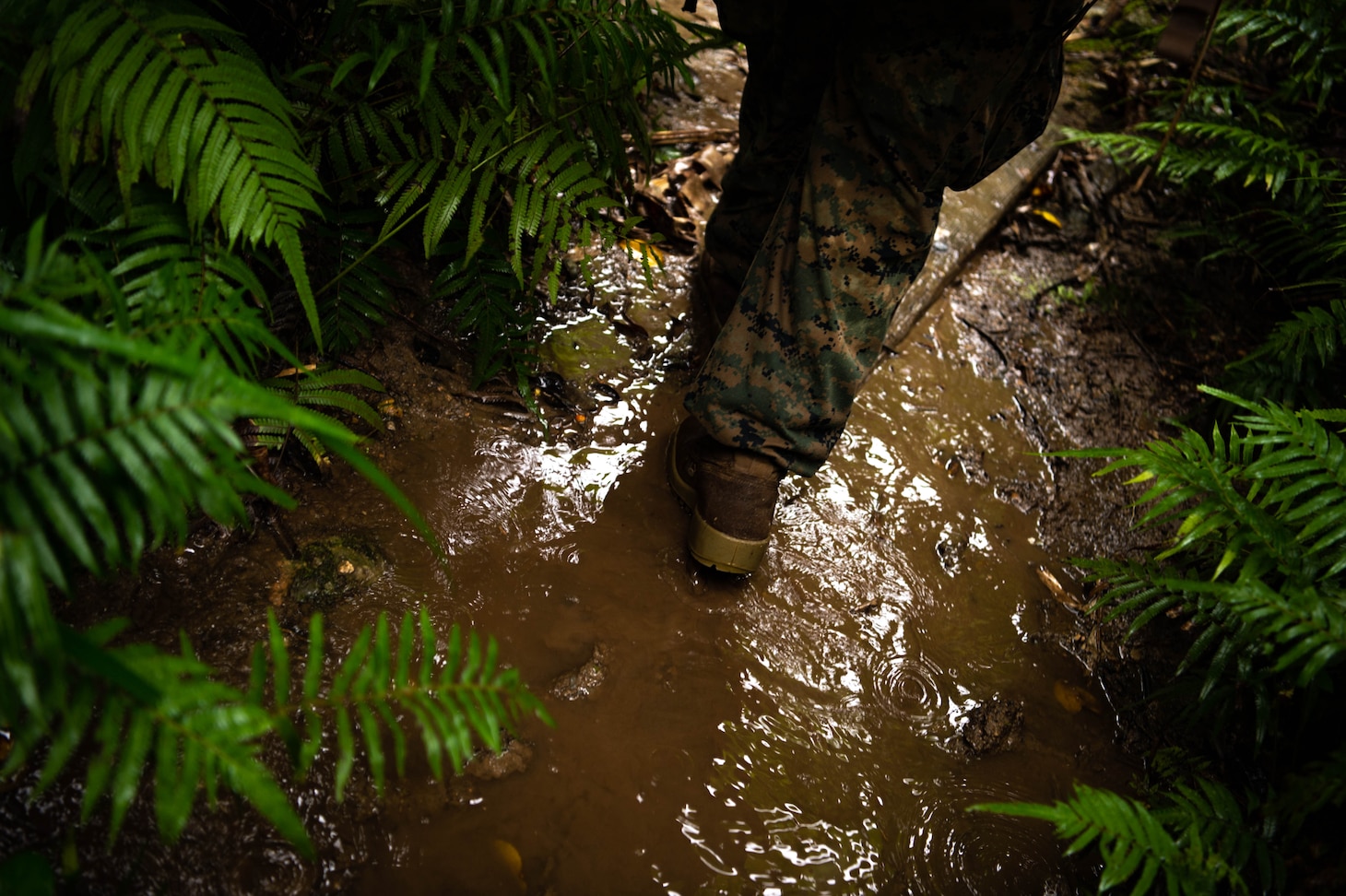 A sailor's foot walking through muddy water.
