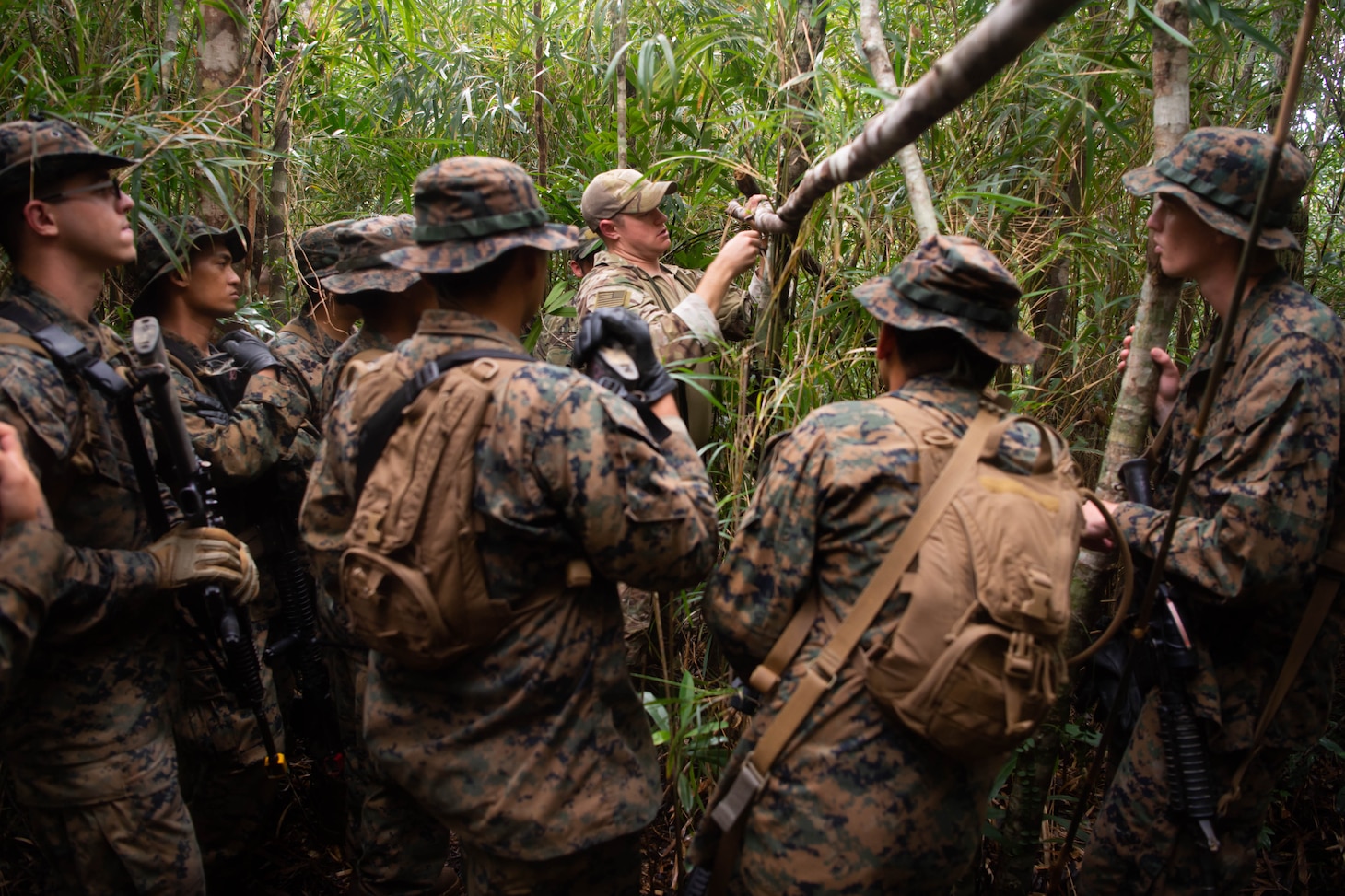 A group of sailors learn how to make a structure in the jungle.