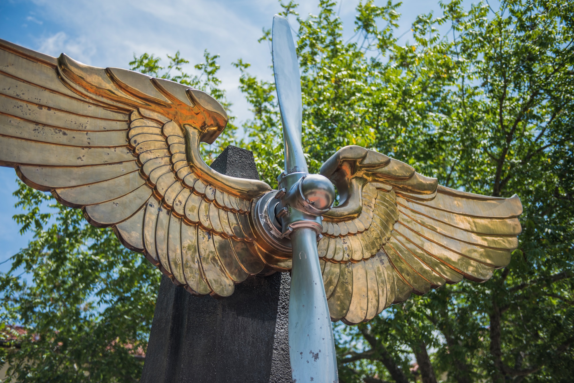 Air University: The intellectual and leadership-development center of the Air and Space Forces.